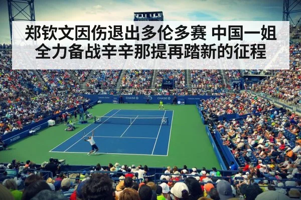 Cincinnati tennis tournament