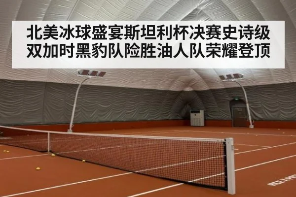 北美冰球盛宴斯坦利杯决赛史诗级双加时黑豹队险胜油人队荣耀登顶